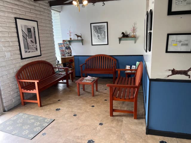Reception area at Affordable Animal Hospital Orange